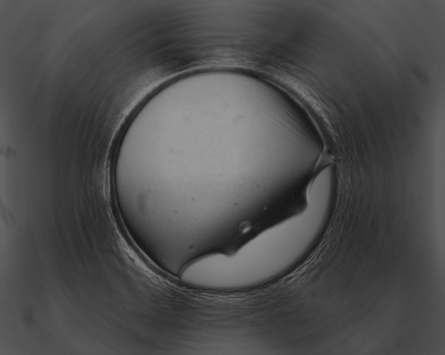 X0000090481468200708031114