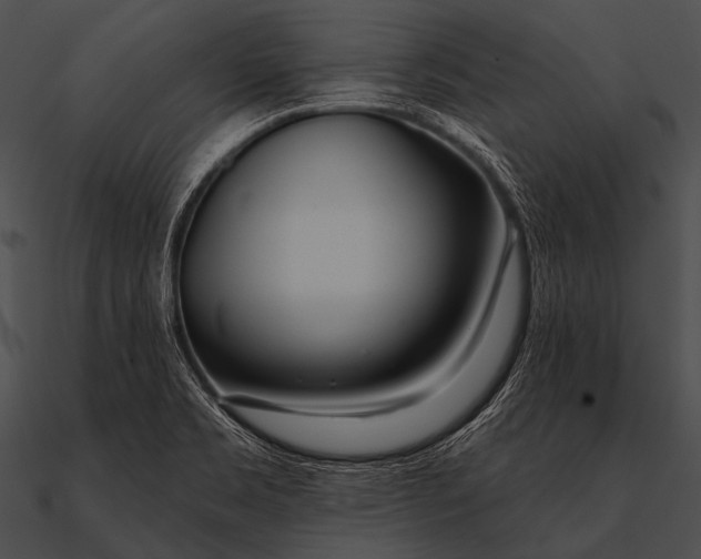 X0000090481469200708031114