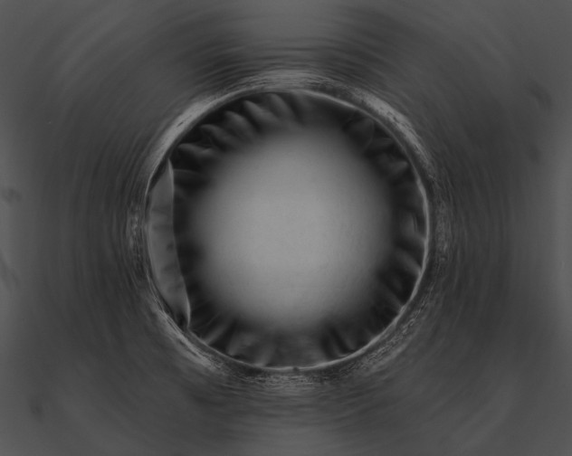 X0000090481473200708031114