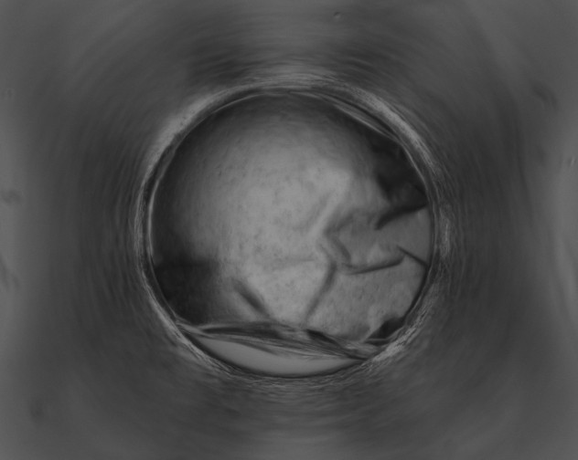 X0000090481477200708031114
