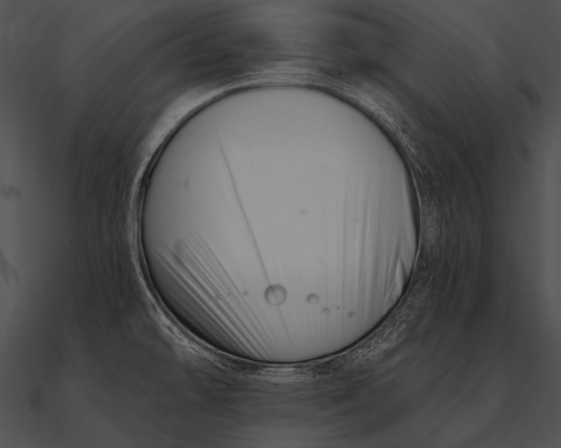 X0000090481478200708031114
