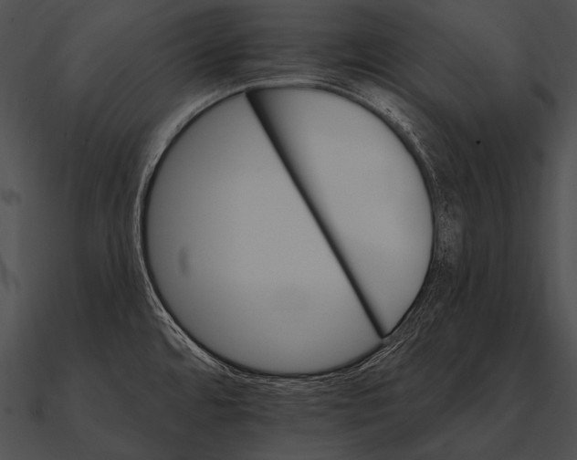 X0000090481480200708031114