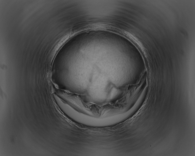 X0000090481481200708031114