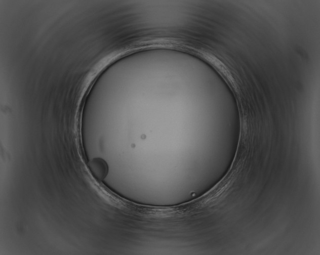 X0000090481482200708031114