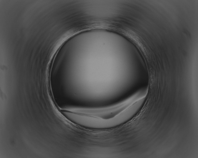 X0000090481483200708031114