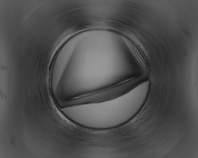 X0000090481484200708031114