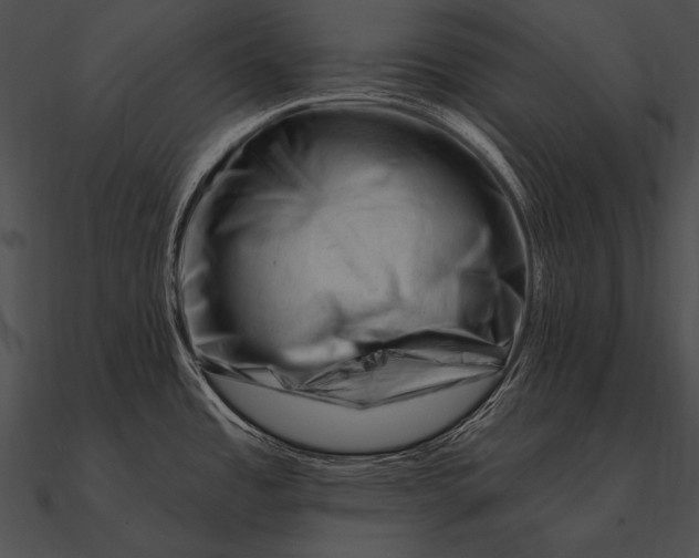 X0000090481485200708031114