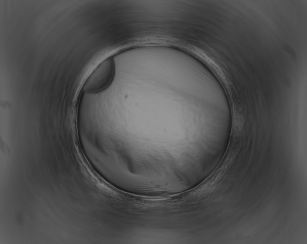 X0000090481486200708031114