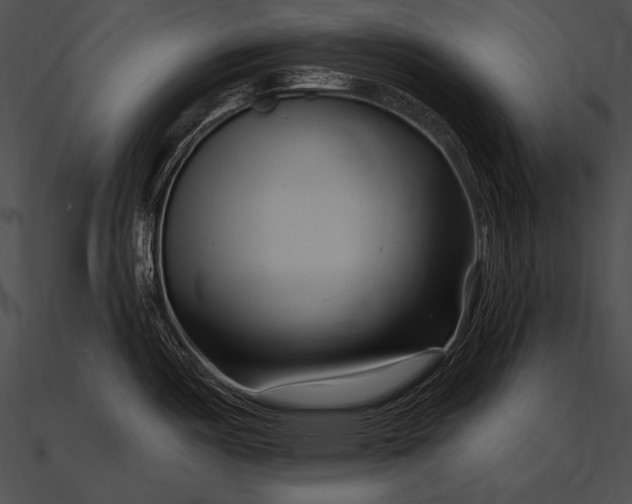 X0000090481487200708031114