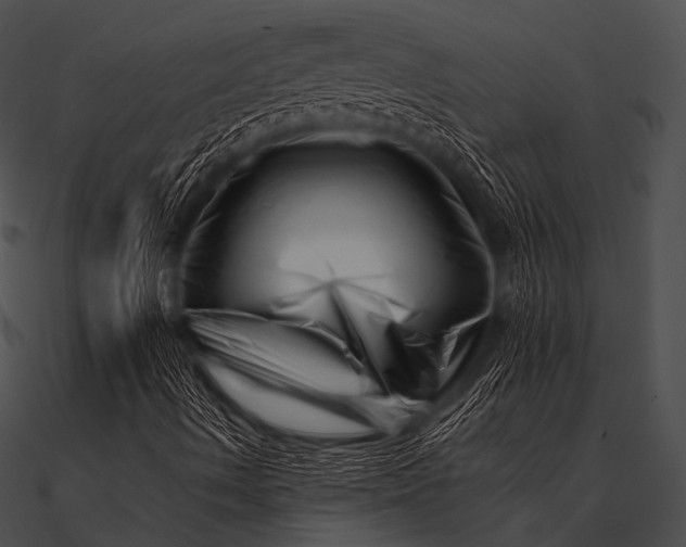 X0000090481490200708031113