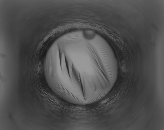 X0000090481495200708031113