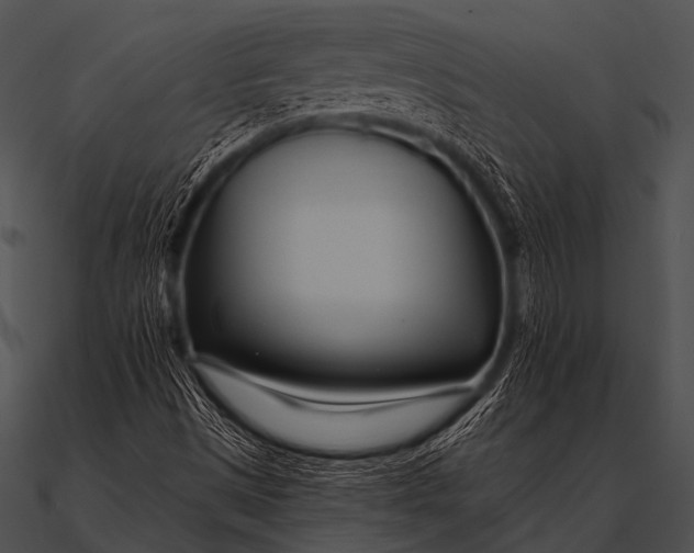 X0000090481497200708031113