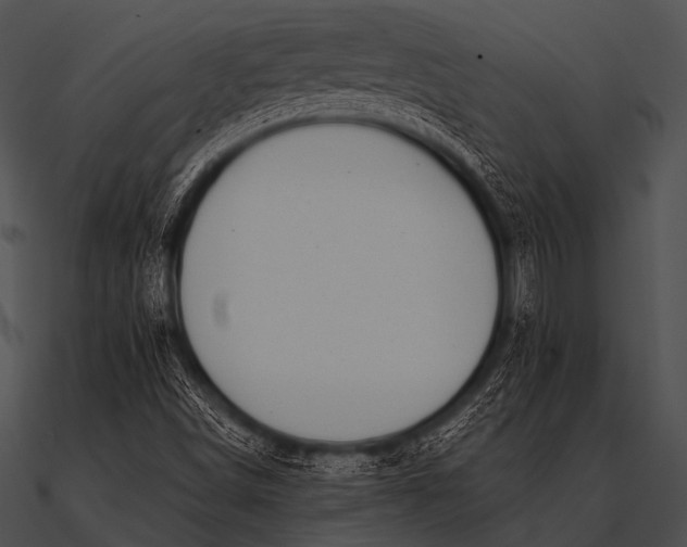 X0000090481498200708031113
