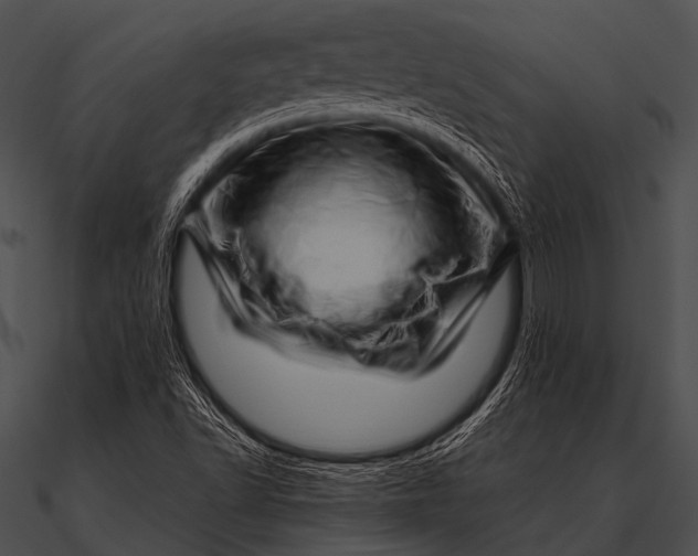 X0000090481502200708031114