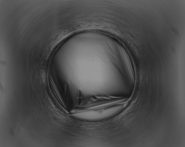 X0000090481505200708031114