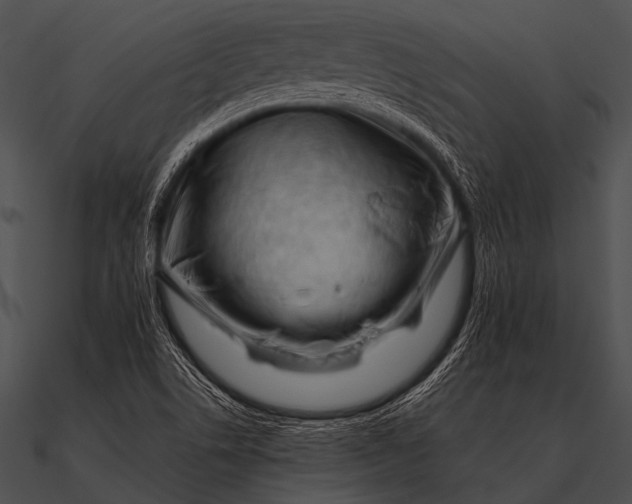 X0000090481506200708031114