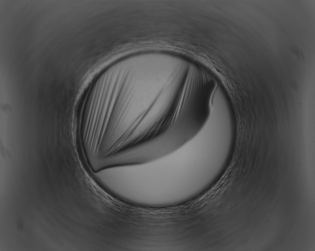 X0000090481508200708031114