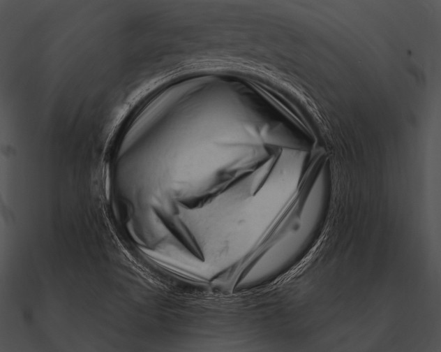 X0000090481509200708031114