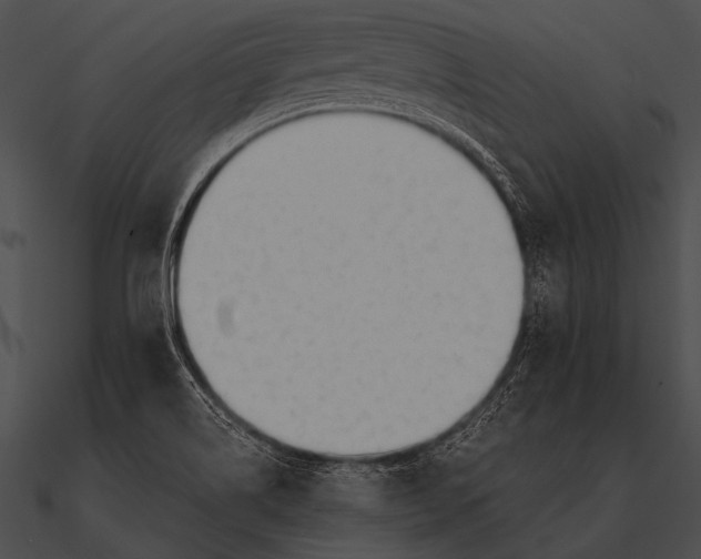 X0000090481514200708031114