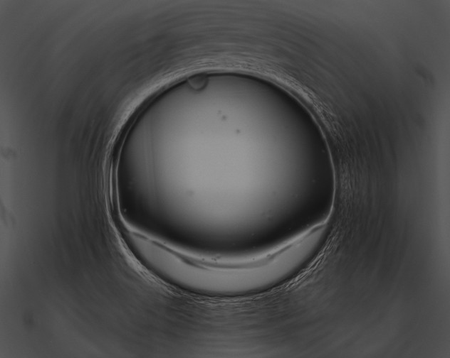 X0000090481515200708031114