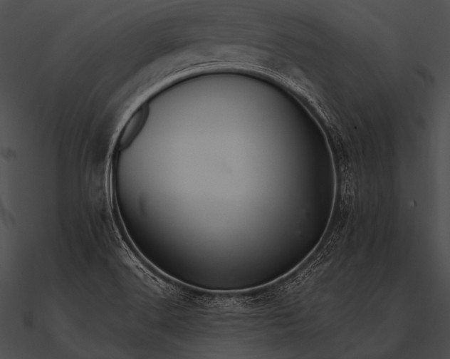 X0000090481516200708031114