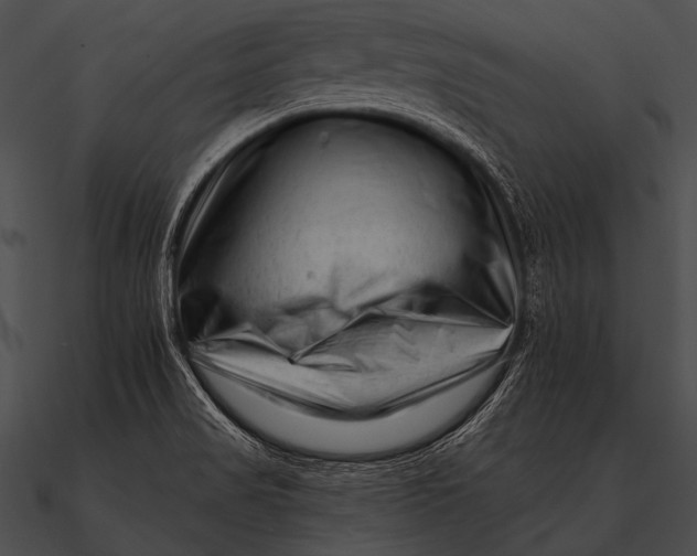 X0000090481517200708031114
