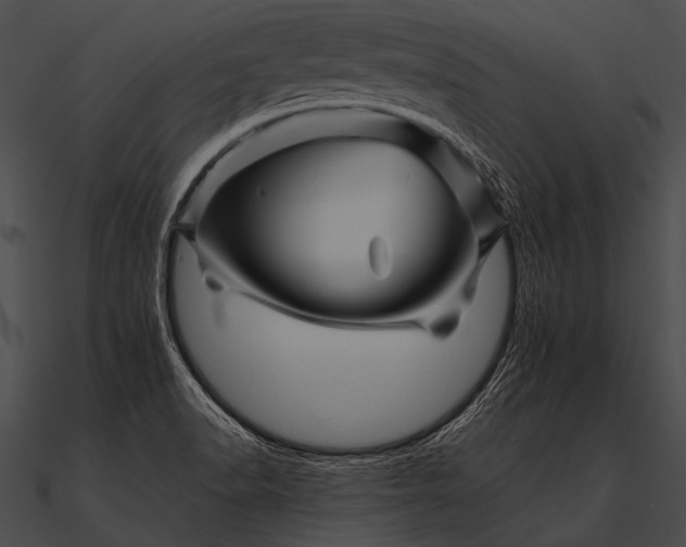 X0000090481518200708031114