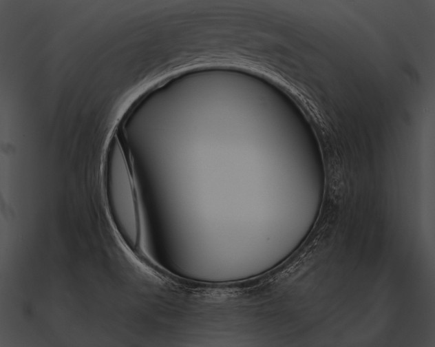 X0000090481519200708031114