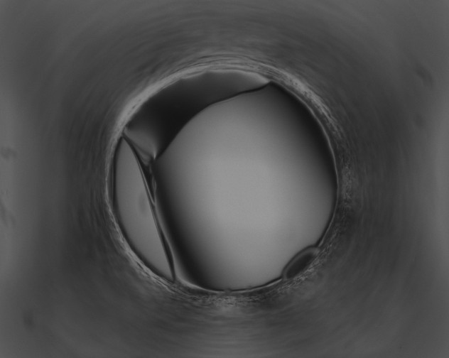 X0000090481520200708031114