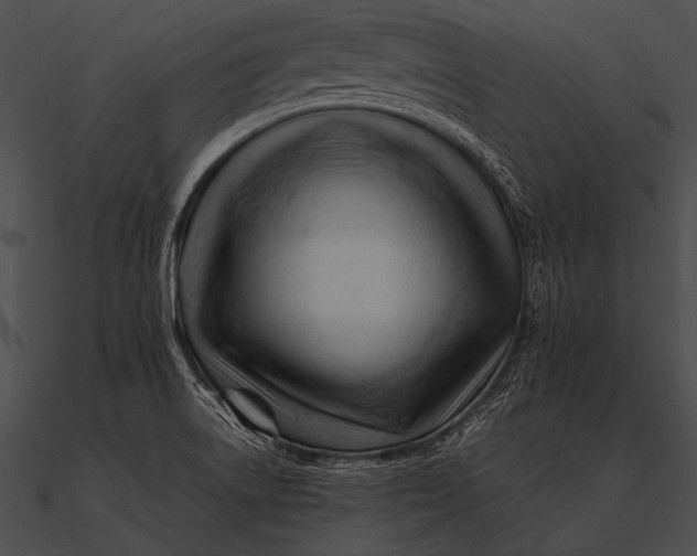 X0000090481522200708031114