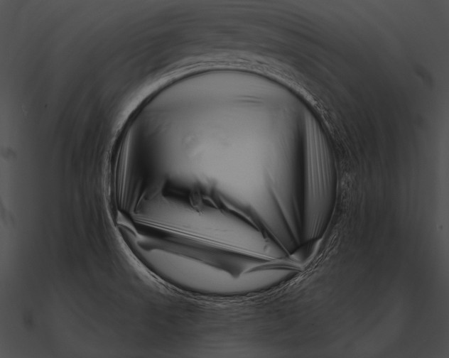 X0000090481523200708031114