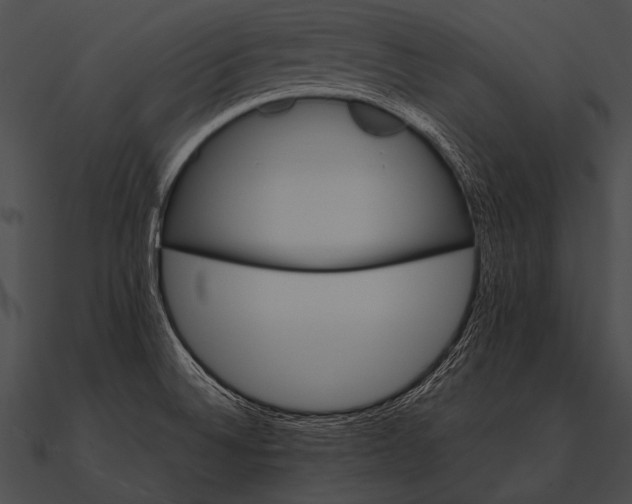 X0000090481524200708031114