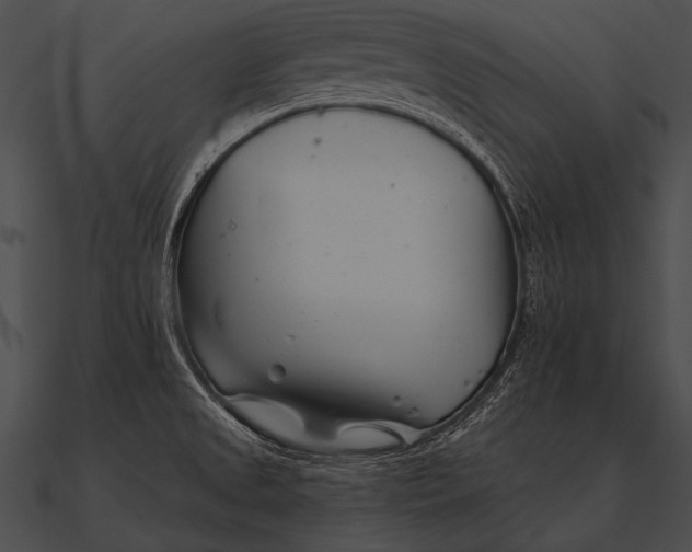 X0000090481525200708031114