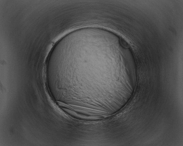 X0000090481526200708031114