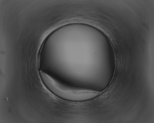 X0000090481527200708031114
