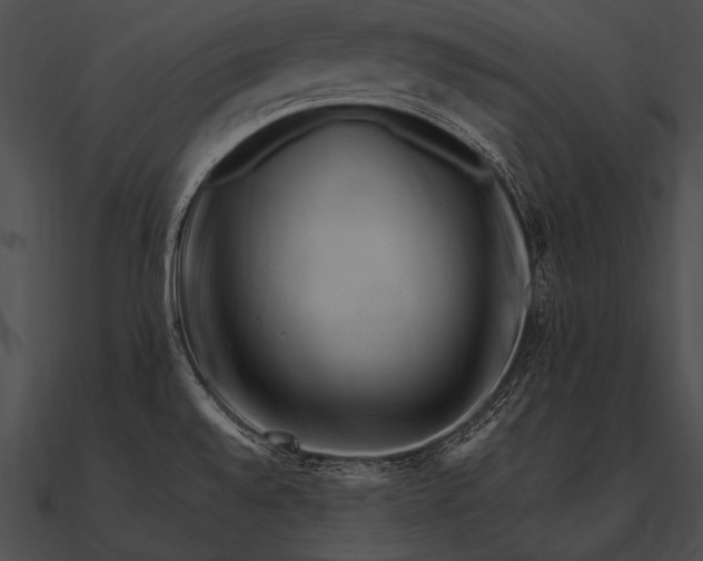 X0000090481528200708031114
