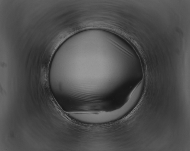 X0000090481529200708031114