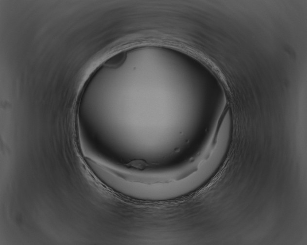 X0000090481530200708031114
