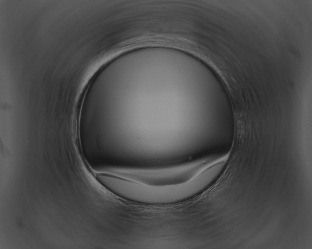 X0000090481531200708031114