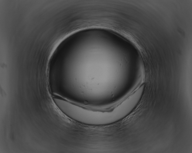X0000090481532200708031114