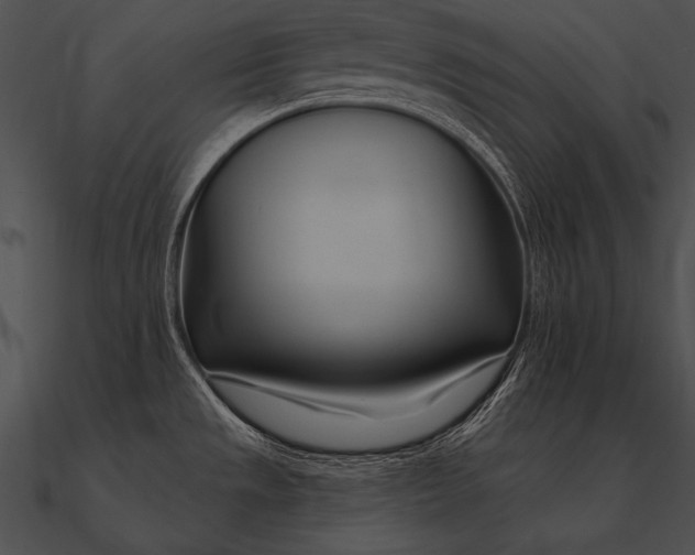 X0000090481533200708031114
