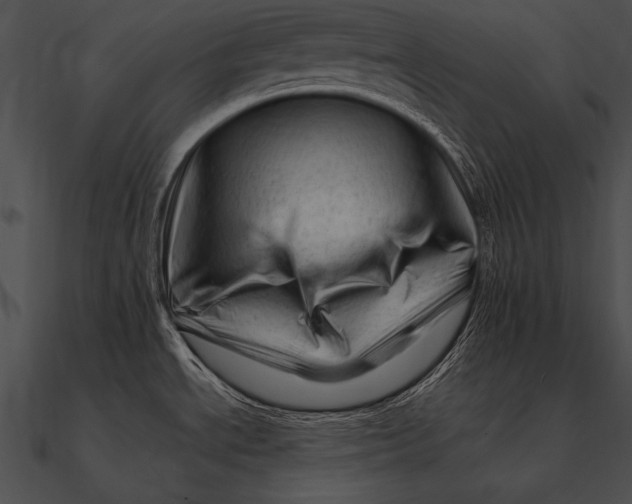 X0000090481534200708031114