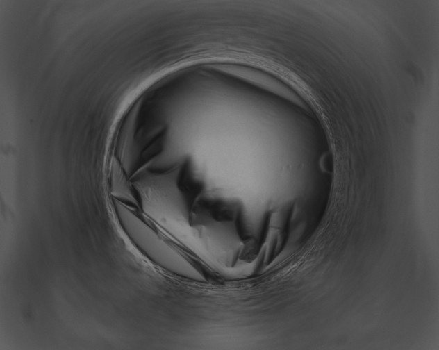 X0000090481536200708031114