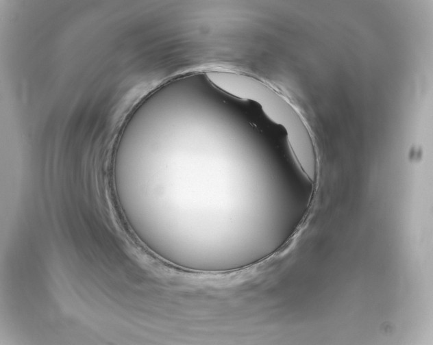 X0000090480001200708102207