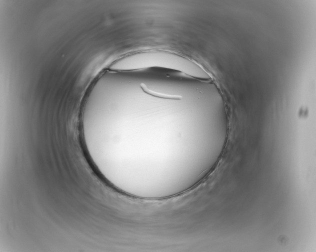 X0000090480002200708102207