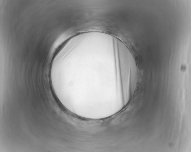 X0000090480004200708102207
