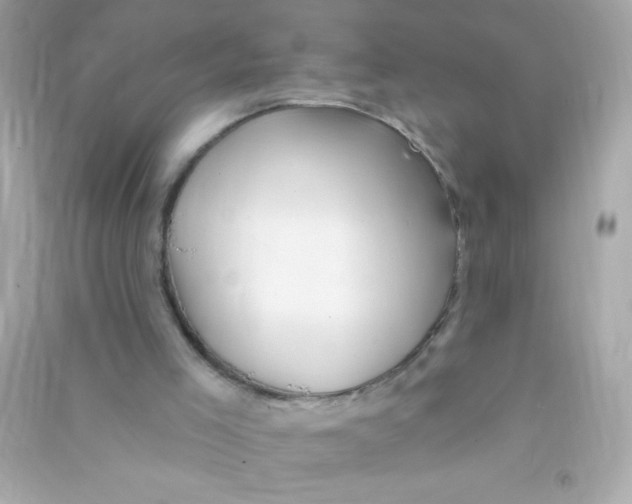 X0000090480005200708102207