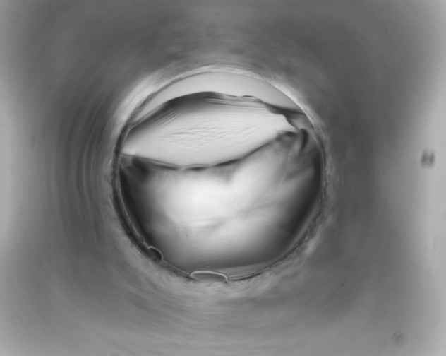 X0000090480007200708102207