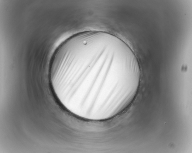 X0000090480008200708102207