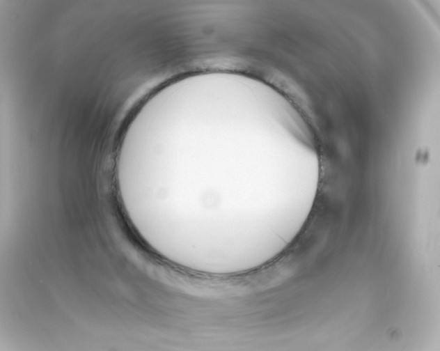 X0000090480012200708102207